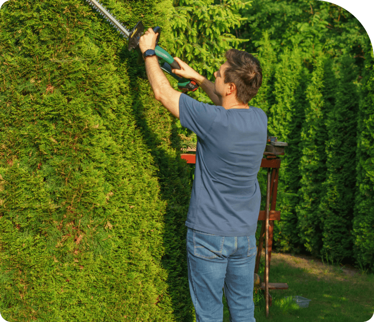 Landscaping Business in Action