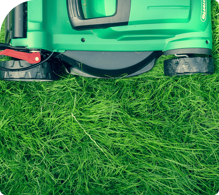 Navigating the Lawn Care Market