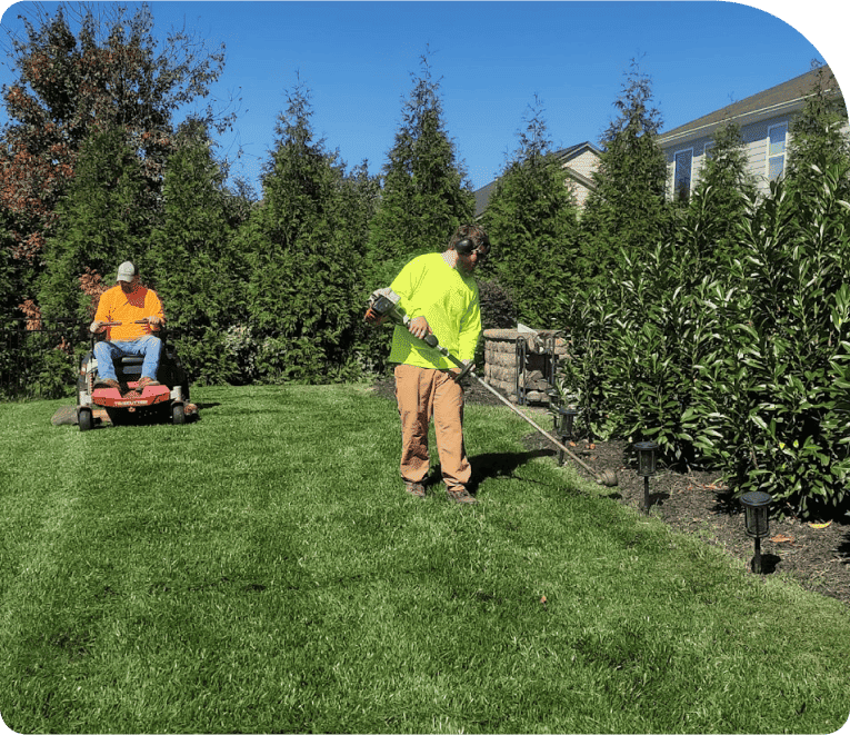 Lawn Care Business Success in Action