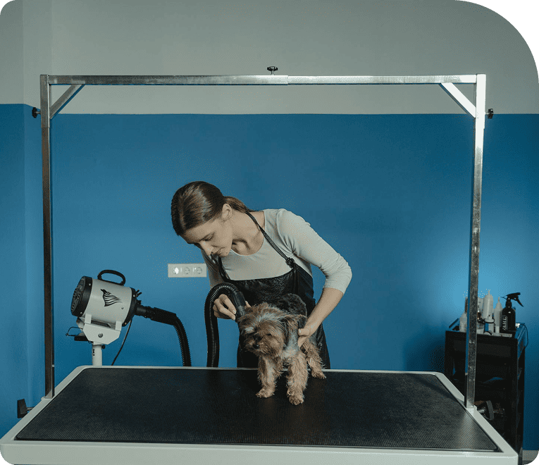 Navigating the Pet Grooming Market