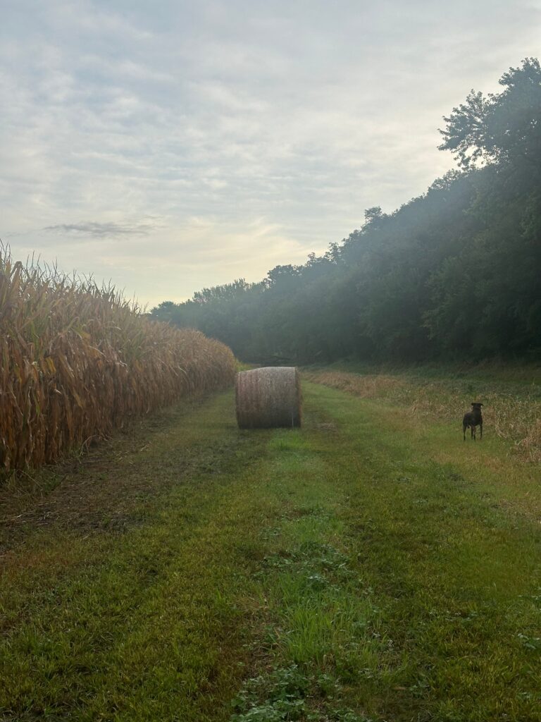 Harvesting the Margins: Lessons from the Field