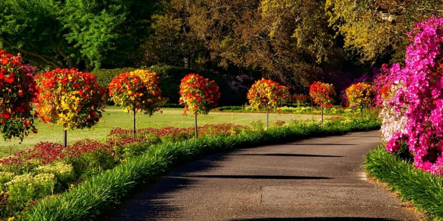 Landscaping Business Hero