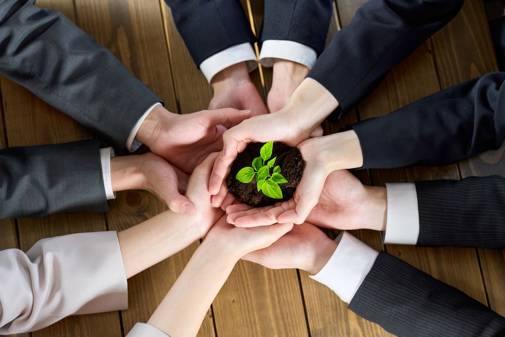 Spring Scaling: Can Your Operations Handle Growth?