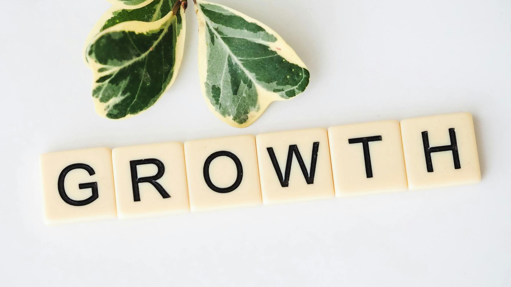 March Momentum: Are You Growing Profit — or Just Activity?